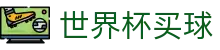 2026FIFA世界杯买球（中国）官方网站 | app下载入口
